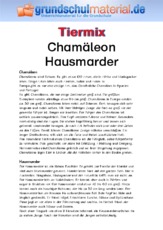 Chamäleon - Hausmarder.pdf